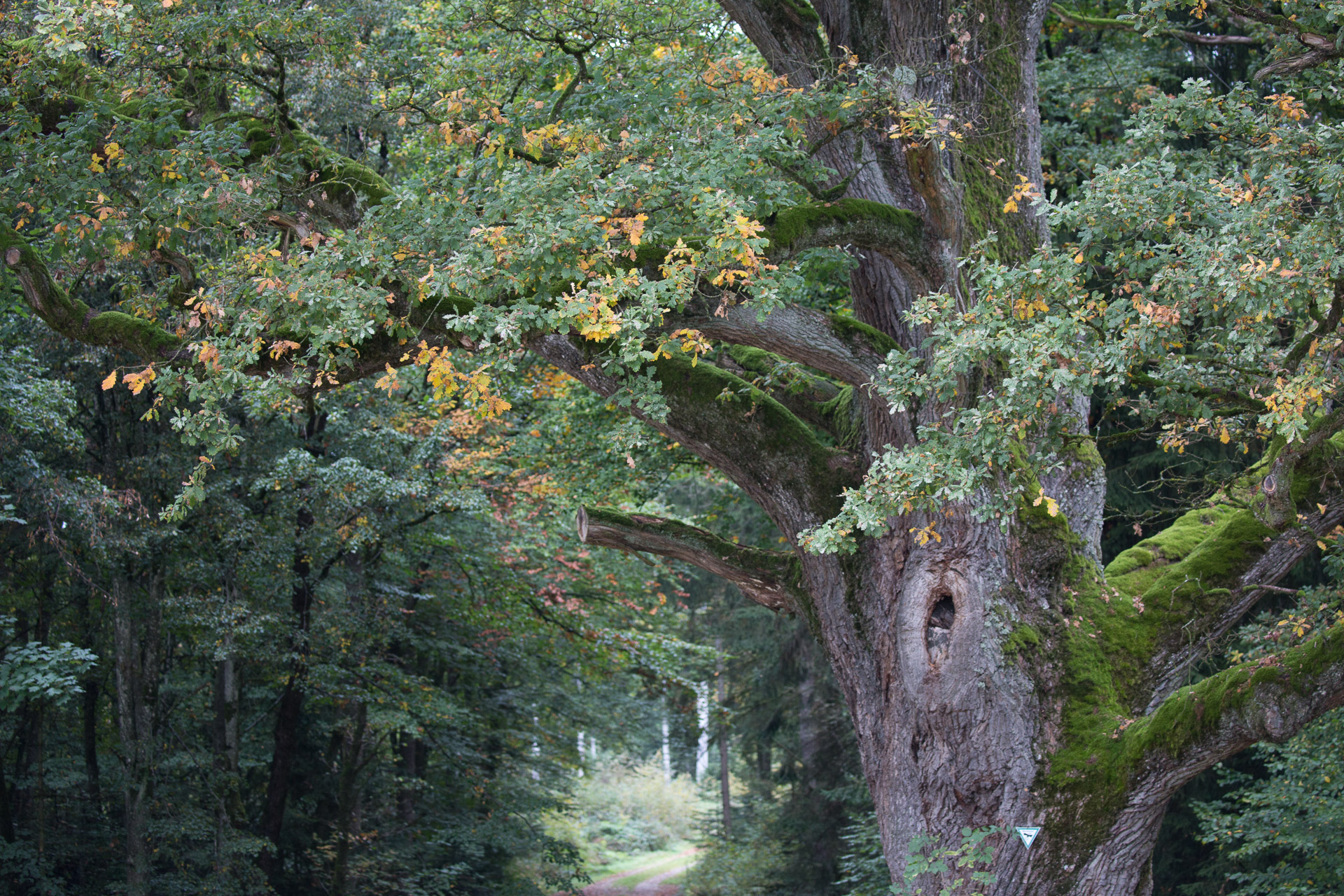 20231014100727 3K6A2222